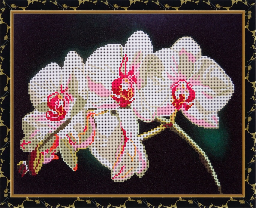 Вышивки и фото орхидеи Вышивки и фото орхидеи