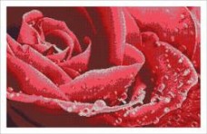 Схема для вышивки бисером на атласе Цветок любви Миледи СЛ-2018