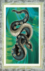 Схемы для вышивания бисером на авторской канве Змея Чарiвна мить (Чаривна мить) СБ-087