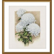 Набір для вишивки нитками на канві з фоновим зображенням Біла хризантема 