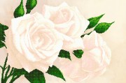 Рисунок на ткани для вышивки бисером Чайные розы
