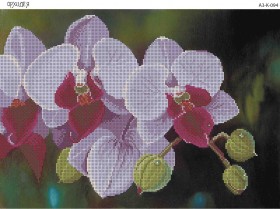 Схема для вышивки бисером на габардине Орхидея