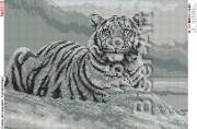 Схема вышивки бисером на габардине Білий тигр