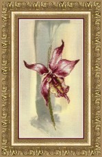 Набор для частичной вышивки крестом Лиловая орхидея Чарiвна мить (Чаривна мить) РК-111
