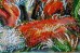 Набор-миди для вышивки бисером на натуральном художественном холсте Лисоньки Абрис Арт АМВ-016