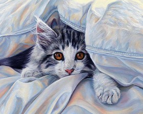 Набор для выкладки алмазной мозаикой Кошка под одеялом Алмазная мозаика DM-143 - 819.00грн.