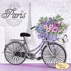 Схема вышивки бисером на атласе Парижский велосипед Tela Artis (Тэла Артис) ТМ-143