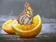 Набор для выкладки алмазной мозаикой Бабочка на апельсине