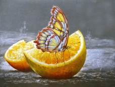 Набор для выкладки алмазной мозаикой Бабочка на апельсине DIAMONDMOSAIC DM-180