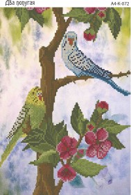 Схема для вышивки бисером на габардине Два попугая
