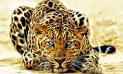 Набор для выкладки алмазной мозаикой Огненный леопард