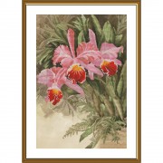 Набор для вышивки крестом на канве с фоновым рисунком Тропическая орхидея 
