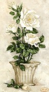 Схема вышивки бисером на атласе Белые розы