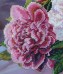 Набор для вышивки бисером Розовые пионы Картины бисером Р-195