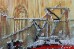 Набор-миди для вышивки бисером на натуральном художественном холсте Трамвай желаний Абрис Арт АМВ-025