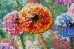 Набір-міді для вишивки бісером на натуральному художньому полотні Різнокольорові кулі