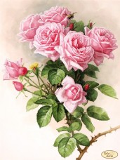 Схема вышивки бисером на атласе Английские розы  Tela Artis (Тэла Артис) ТК-073