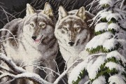 Набір для вишивки хрестиком Вовки в зимовому місячному сяйві