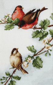 Набор для вышивки крестом Птички Luca-S В216 - 1 155.00грн.