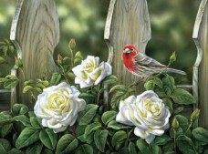 Набор для выкладки алмазной мозаикой Птица на садовых розах Алмазная мозаика DM-330