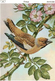 Схема для вышивки бисером на габардине Птица