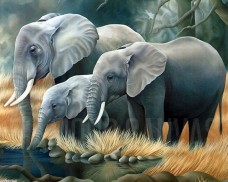 Набор для выкладки алмазной мозаикой Семья слонов DIAMONDMOSAIC DM-189