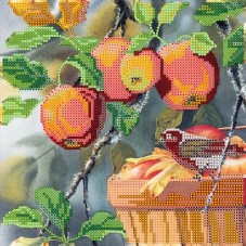 Схема для вышивки бисером на холсте Любитель яблок Абрис Арт АС-485