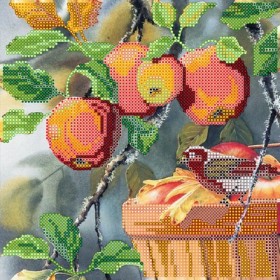 Схема для вышивки бисером на холсте Любитель яблок Абрис Арт АС-485 - 68.00грн.