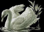 Схема вышивки бисером на габардине Лебедь