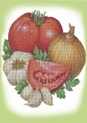 Схема вішивки бисером на габардине Овощи