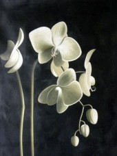 Набор для выкладки алмазной мозаикой Цвет орхидеи DIAMONDMOSAIC DM-115