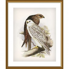 Набор для вышивки нитками на канве с фоновым изображением Гордые птицы  Новая Слобода (Нова слобода) СР2273