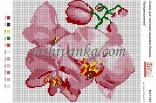 Рисунок на габардине для вышивки бисером Орхідея рожева Вишиванка А4-205