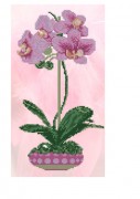 Схема вышивки бисером на габардине Орхидея
