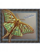 Набор для вышивки бисером на прозрачной основе Бабочка Грельсия Изабеллы