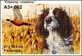 Схема вышивки бисером на габардине Спрингер - Спаниель  Кольорова А3+ 082 - 110.00грн.