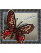 Набор для вышивки бисером на прозрачной основе Бабочка Eurytides Ariarathes Gayi