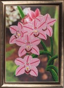Рисунок на атласе для вышивки бисером Орхидеи