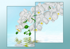 Схема для вышивки бисером на атласе Белые орхидеи (Диптих) А-строчка АР2-008