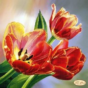 Схема для вышивки бисером на атласе Красочные тюльпаны