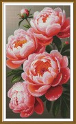 Набір для вишивки хрестиком Нова Слобода Пишні півонії СР6301