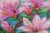 Набор для вышивки бисером на холсте Магнолии цветут Абрис Арт АВ-806
