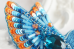 Брошь из бисера Синяя птица счастья Tela Artis (Тэла Артис) Б-025 ТА