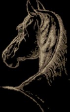 Схема вишивки бісером на габардині Кінь