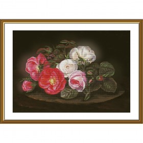 Набор для вышивки нитками на канве с фоновым изображением Симфония роз