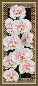 Набор для выкладки алмазной мозаикой Орхидеи