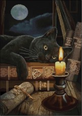 Схема вишивки бісером на атласі Магічний кіт повна зашивка