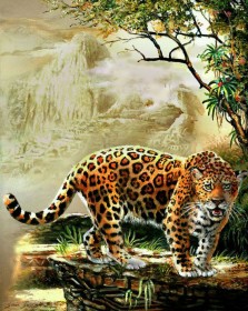 Набор для выкладки алмазной мозаикой Леопард Алмазная мозаика DM-063 - 819.00грн.