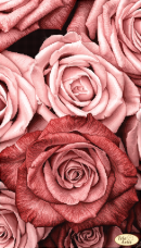 Схема для вишивания бисером на атласе Пудровые розы Tela Artis (Тэла Артис) ТА-452