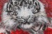 Набор для вышивки бисером Бай-ху (Белый тигр) Абрис Арт АВ-814